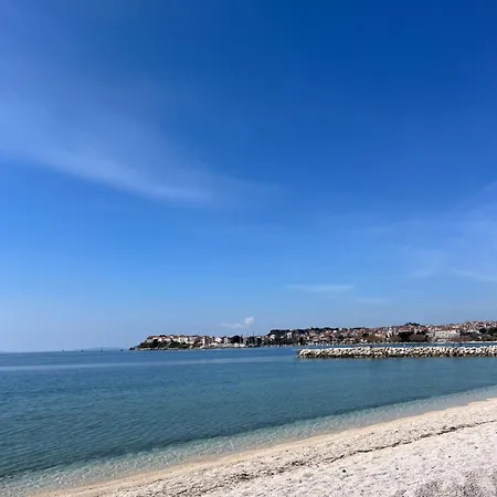 Studio Apartman Plautila 珀德垂那